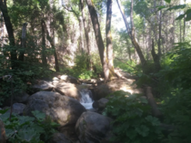  x hiking at lewis creek trail CA