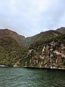   x  pixels - Milford Sound Fiordland Aotearoa