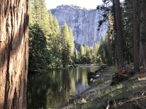  x   - serenity now - Yosemite