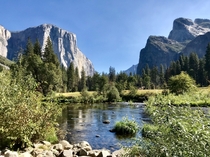  x   Yosemite National Park
