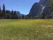  x Yosemite the perfect landscape