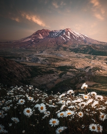  years ago today she blew her top Mount St Helens WA 