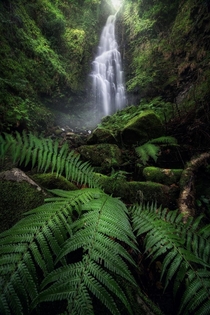 A beautiful secret waterfall in the Basque Country 