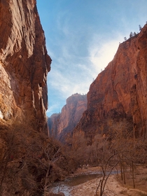 A beautiful Sunday in Zion National Park OC 