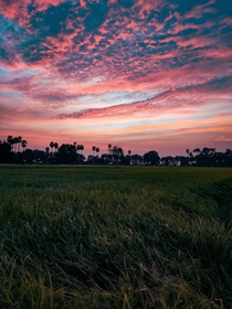 A beautiful sunset in Madurai TamilNadu 
