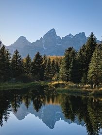 A beaver pond made a perfect mirror for the Grand Teton this fall 