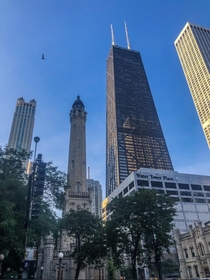 A bird flying over the historic water tower in Chicago Illinois
