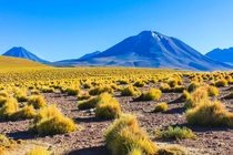 A bright amp colorful alien landscape out in Chiles Atacama Desert  itkjpeg
