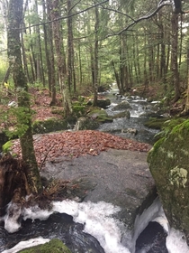 A calm stream in Maine 