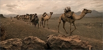 A camel caravan in Ethiopia 