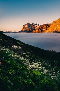 A cloud inversion and beautiful sunset light in the Swiss Alps 