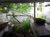 A collapsing snack bar in an abandoned drive-in theater we found in rural Indiana full album in comments 