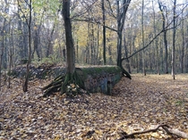 A cozy Prussian bunker outside Poznan Poland 