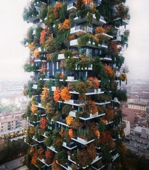 A crazy building in Milan Italy 