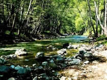 A creek near Big Sur California 