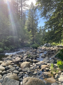 A day at the Consumnes River in Northern California 
