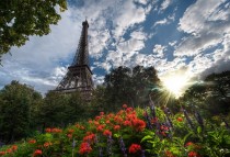 A different view of the Eiffel Tower x-post from rimages 