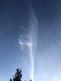 A dissipating jet stream caught with a rainbow creating a feather rainbow