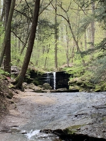 A family hike through Dundee Falls in Dundee Ohio No filters just a lot of green  x