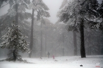 A father and daughter walk during a snowfall in the Troodos Mountains of Cyprus Petros Karadjias AP Photo