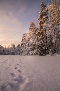 A Finnish Sunrise 