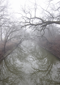 A foggy Kansas creek OC 