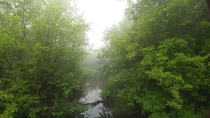 A foggy morning at a creek in central Alberta CAN  x 