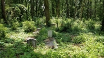 A Forgotten Cemetery Jacksonville Florida