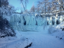 A frozen Minnehaha Falls MN this past winter Theyre all melted and flowing now 
