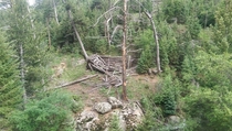 A fur-trappers cabin from the s left to rot as seen from the Pikes Peak Cog Railway 