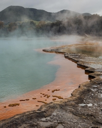 A Geothermal Landscape in New Zealand 
