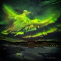 A Giant Phoenix-Shaped Aurora over Iceland Credit Judy Schmidt Hallgrimur P Helgason