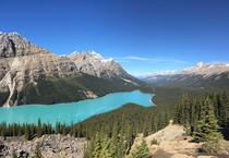 A gorgeous blue Peyto Lake Alberta Canada 