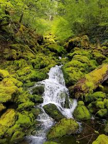 A Green Waterfall Portland OR 