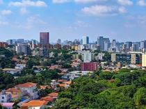 A Greener Side of Sao Paulo