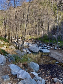 A happy little winter stream flowing in the San Gabriel Mountains  x  