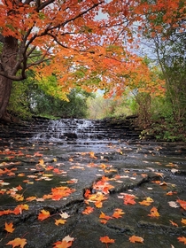 A hidden waterfall in Hamilton Ontario showing off fall colours  