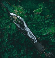 A hidden waterfall in Ooty India 