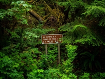 A highway sign on an abandoned road in Olympic National Forest WA 
