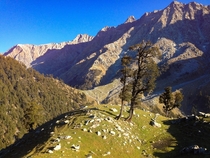 A hike through Dhauladar Ranges India 