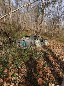 A Honda Civic found in the wild