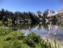 A hot and sunny day at an unnamed lake deep in the Sierra Nevada CA 