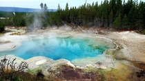 A hot spring in the Norris Geyser Basin of the Yellowstone National Park 