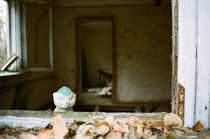 A house in the abandoned village of Zalissya within Chernobyls km exclusion zone - shot on mm film
