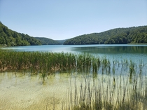 A lake at Plitvice lakes national park in Croatia 