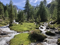 A literal fairy tale landscape at Tiefental Alm Tyrol 