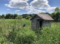 A little shack out in my Grandparents field