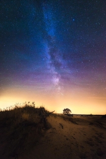 A look at the stars from the Netherlands 