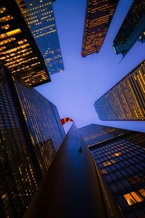 A look-up perspective in Toronto Canada