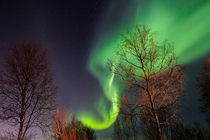 A magic Aurora visit in Tromso Norway 
